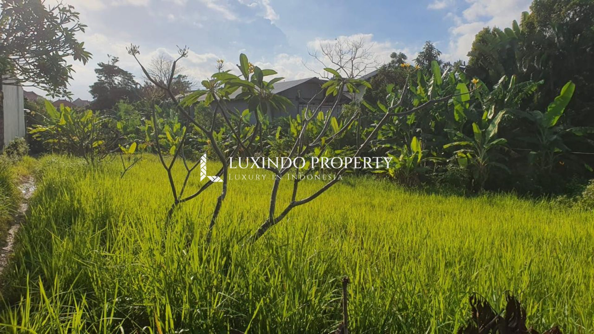 CANGGU - PLOT CLOSE TO PLATARAN HOTEL (LHL283)